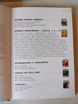 Přírodní léčba koní - Cornelia Witteková - 3