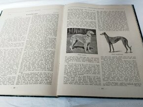 Stará kniha o myslivosti 1923-1924 - 3