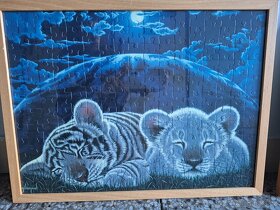 Obrázky zvířat 9 ks - 3