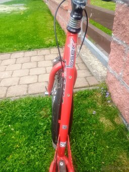 Kostka Kolonka Laser 16 - 3