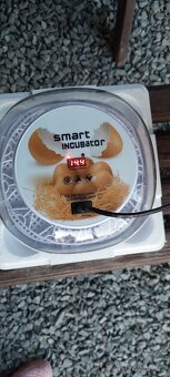 Mini lihen - 3