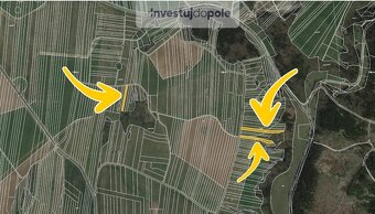 Prodej louky v k.ú. Ostrov u Macochy - 3
