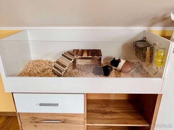 Moderní Klec pro morče - 3