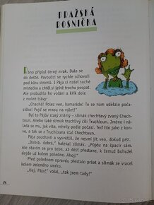 Kniha Pavouček Pája - Pavel Šrut - 3