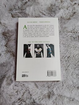 Padlí andělé 4 - 3