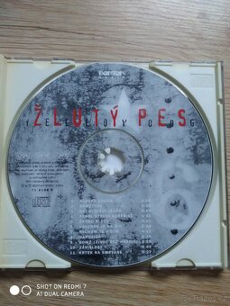 Žlutej Pes - Yellow dog - 3