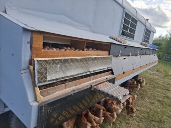 Mobilní kurník/ maringotka - 3