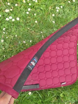 Vínová Equiline sada, dečka a čabraka - 3