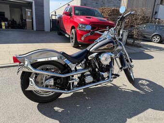 Harley Davidson springer Evolution 1340 - 3