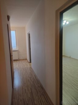 pronajmu 2+1 s lodžií v Žatci - 3