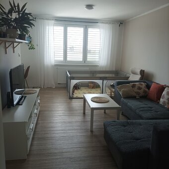 Pronájem bytu 3+1 • 64 m² , Na Hraničkách, Uherské Hradiště - 3
