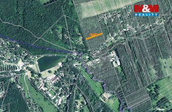 Prodej lesa, 953 m², Kněždub - 3