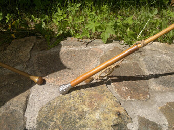 PRODÁM SLUNEČNÍKY - 3