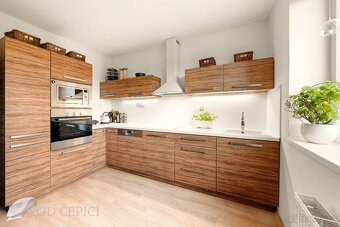Prodej rodinného domu v obci Nesovice, okr. Vyškov - 3
