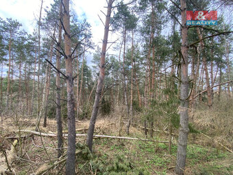 Prodej lesa, 2084 m², Slavičky - 3