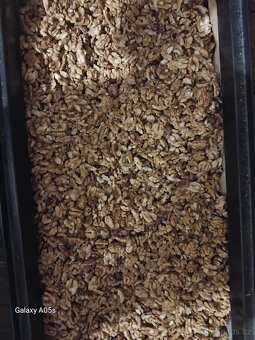 Vlašské ořechy - 3