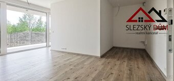 Pronájem, Byt, 2+kk/terasa/parkování/sklep, ul. F.X. Riepla, - 3