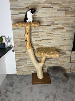 Stromy pro kočky - 3