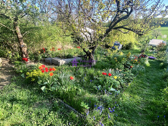 Prodej chaty 48 m², pozemek 511 m² Brno - Žebětín - 3