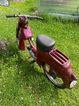 jawa 555 pařez - 3
