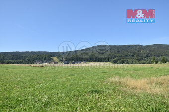 Prodej pozemku k bydlení, 7131 m², Červená Voda - 3