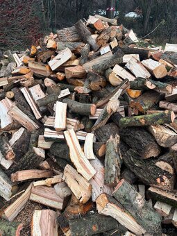 Palivové dřevo tvrdé - 3