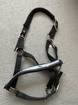 Nová ohlávka a vodítko Kentaur - 3