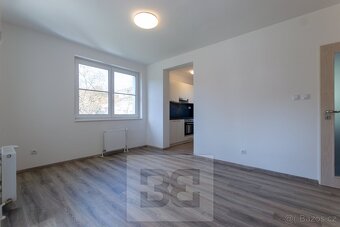 Pronájem bytu 2+kk 50 m2 s balkonem v rekonstruované vile. - 3