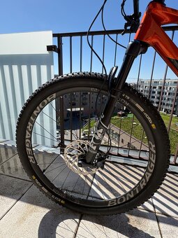 KTM Myroon Elite - 3