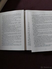 Pán prstenů Společenstvo prstenu - 3