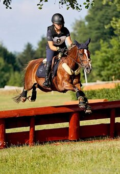 Pony B do sportu - 3