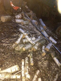 Prodám palivové dřevo bříza - 3