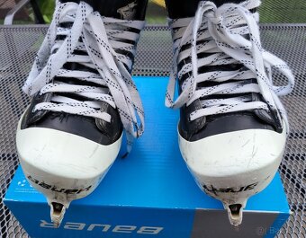 Brusle Bauer PRO skelet, 10 D - 3