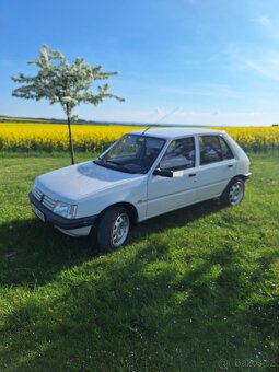 Peugeot 205 - 3