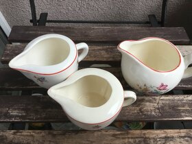 konvicka s kvitky Trnovany u Teplic 4 druhy - 3