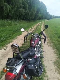 Prodám Virago XV535 - 3