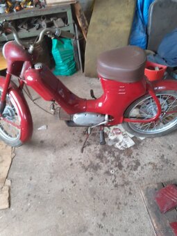 JAWA 550 pařez - 3
