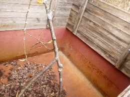 Kára, přívěs za traktor , auto - 3