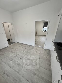Pronájem bytu 1+1 45 m², se zahradou 100 m² - Mělník - 3