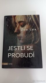 Berlínská past, Poslední šance, - 3