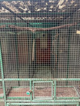 Prodám voliéry - 3