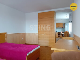 Pronájem bytu 1+1 ve Svratce, 134584 - 3