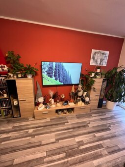 Obývací stěna - 3