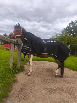Pronájem magnetické deky pro koně i jezdce - 3