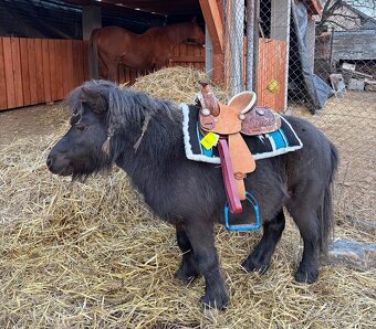 Westernové detské sedielko, pony, shetty - 3