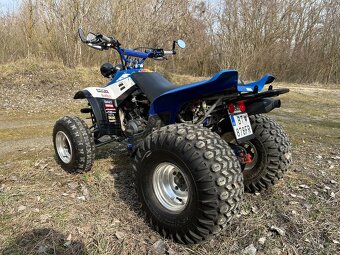 Yamaha Warrior 350 - 3