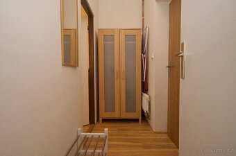 Pronájem bytu 1+1, 30 m², Škrdlovice - 3