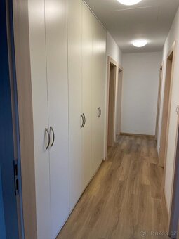 Pronájem - 3
