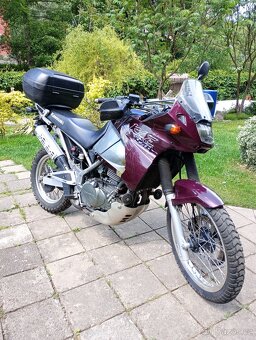 Kawasaki KLE 500 25 kW - 3