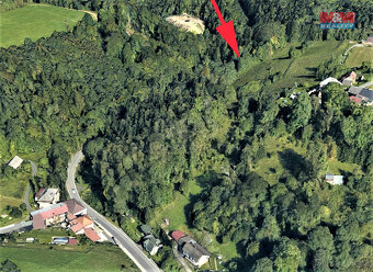 Prodej lesa, 3547 m², Koberovy - 3